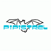 Pipistrel logo vector logo
