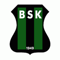 Bakirkoyspor logo vector logo