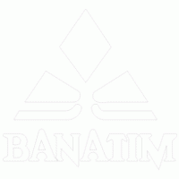 banatim logo vector logo