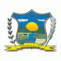 Brasao Bocaina do Sul logo vector logo