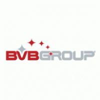 BVB Group