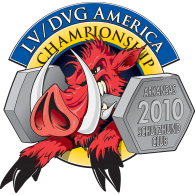 LV-DVG America 2010 Championship logo vector logo