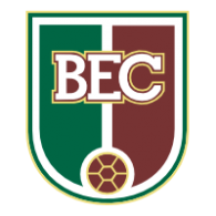 Blumenau Esporte Clube logo vector logo