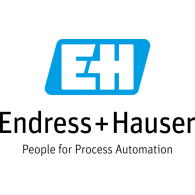 Endress+Hauser logo vector logo