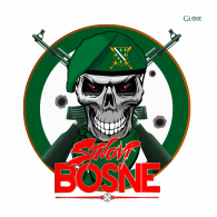 Sinovi Bosne