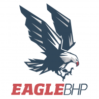 Eagle logo vector logo