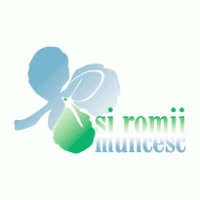 Rsi Romii Muncesc logo vector logo