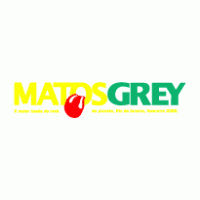 Matos Grey A Big Bang Tour logo vector logo