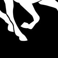 Equestrio logo vector logo