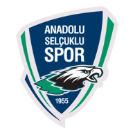 Anadolu Selcukluspor logo vector logo