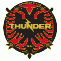Dandenong Thunder SC logo vector logo