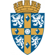 Durham County Council logo vector logo