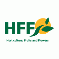 HFF logo vector logo
