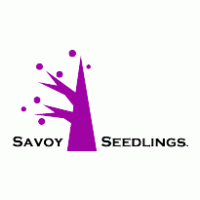 Savoy Seedlings