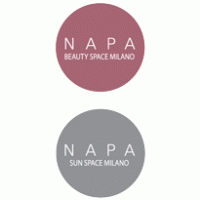 napa logo vector logo