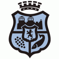 Municipality Vidin logo vector logo