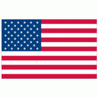 American Flag logo vector logo