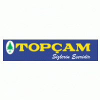 TOP logo vector logo