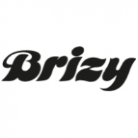 Brizy logo vector logo