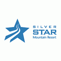 Silver Star logo vector logo