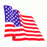 United States of America logo vector logo