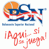 BSN logo vector logo