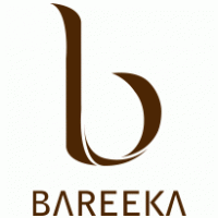 Bareeka Business parks logo vector logo