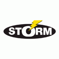 Storm logo vector logo