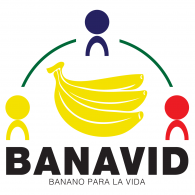 Banavid logo vector logo