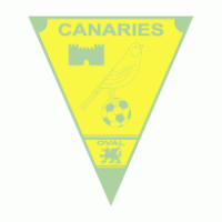 Caernarfon Town FC logo vector logo