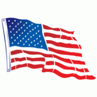 USA Flying Flag logo vector logo