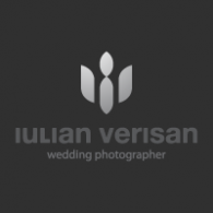 iulian Verisan logo vector logo