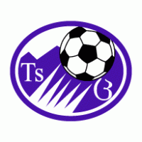 FC Tskhinvali logo vector logo