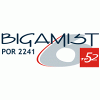 Bigamist VI logo vector logo