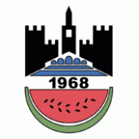 Dyarbakirspor logo vector logo