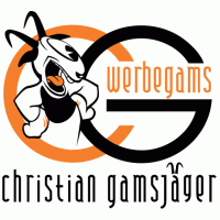 Werbegams logo vector logo