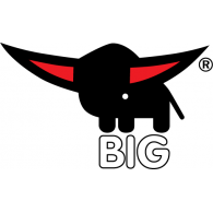 Big logo vector logo