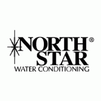 North Star logo vector logo
