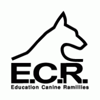 E.C.R. logo vector logo