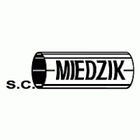 Miedzik logo vector logo