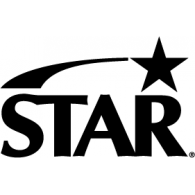 Star logo vector logo
