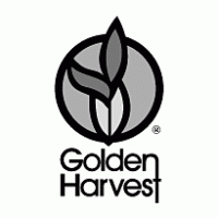 Golden Harvest logo vector logo