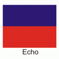 Echo Flag logo vector logo