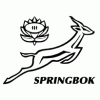 Springbok logo vector logo