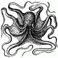 octopus logo vector logo