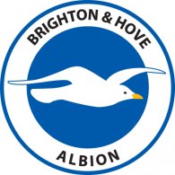 Brighton & Hove Albion F.C. logo vector logo