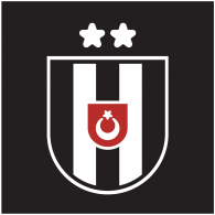 Besiktas logo vector logo