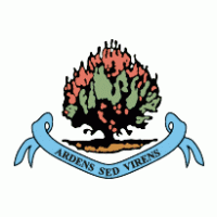 FC Institute Londonderry logo vector logo