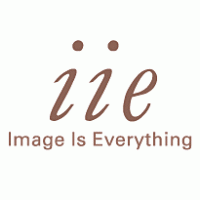 Image Is Everything logo vector logo