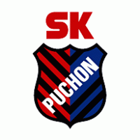 Puchon logo vector logo